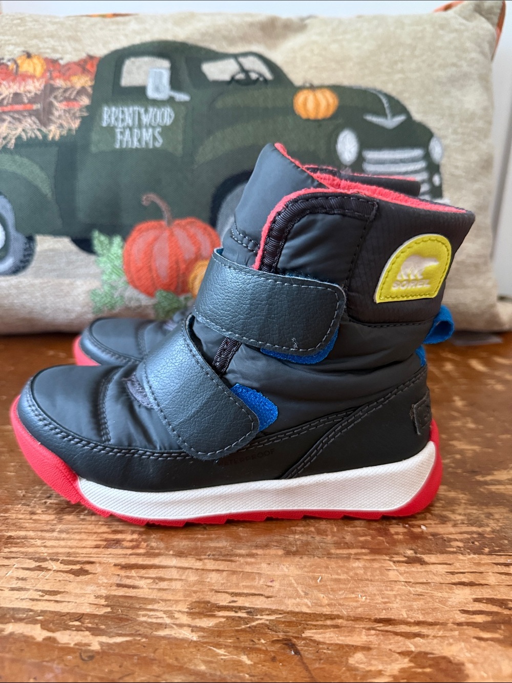 Kids Sorel Winter Boots toddler size 11